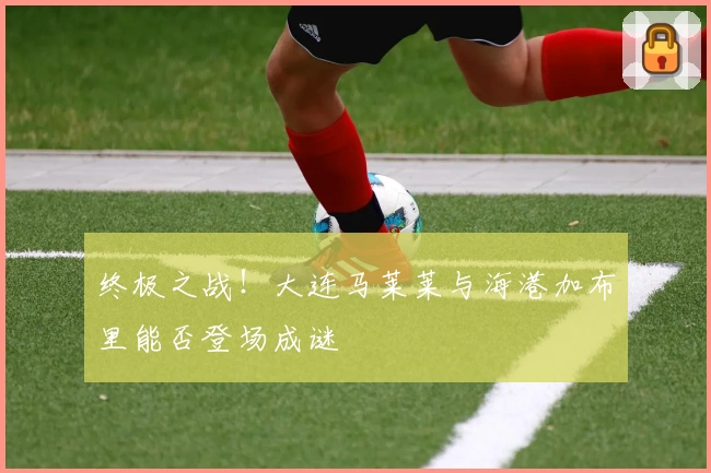 终极之战！大连马莱莱与海港加布里能否登场成谜