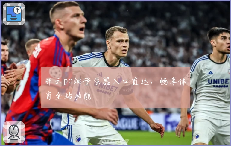 开云pc端登录器入口直达，畅享体育全站功能