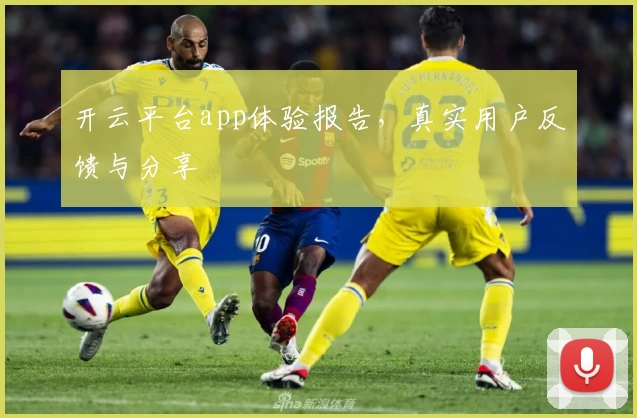 开云平台app体验报告，真实用户反馈与分享